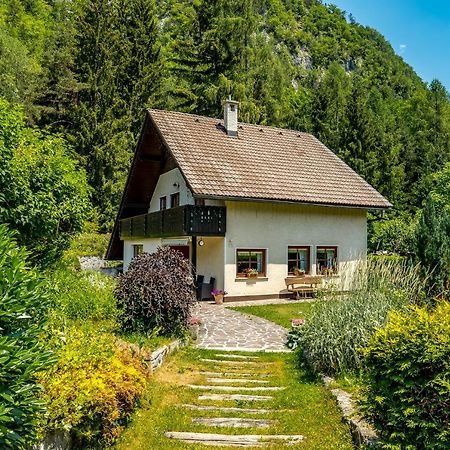 Hisa Nasproti Sonca Villa Kranjska Gora Eksteriør billede